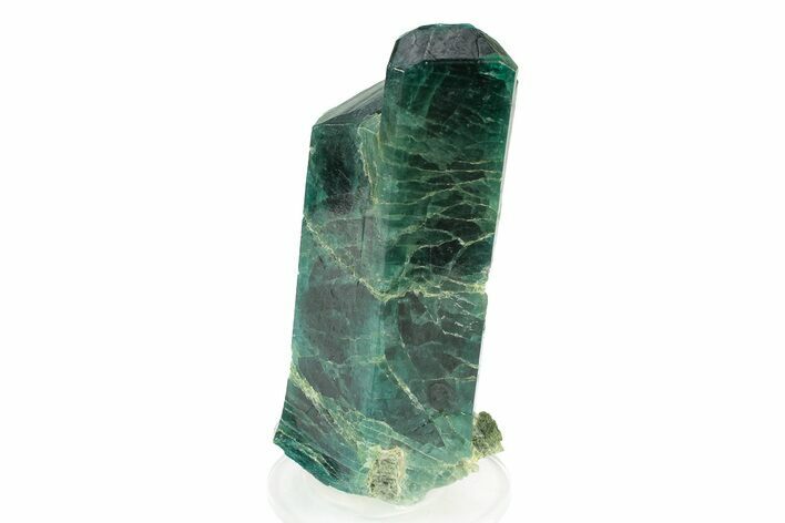 Lustrous, Blue-Green Fluorapatite Crystal - New Find! #243399
